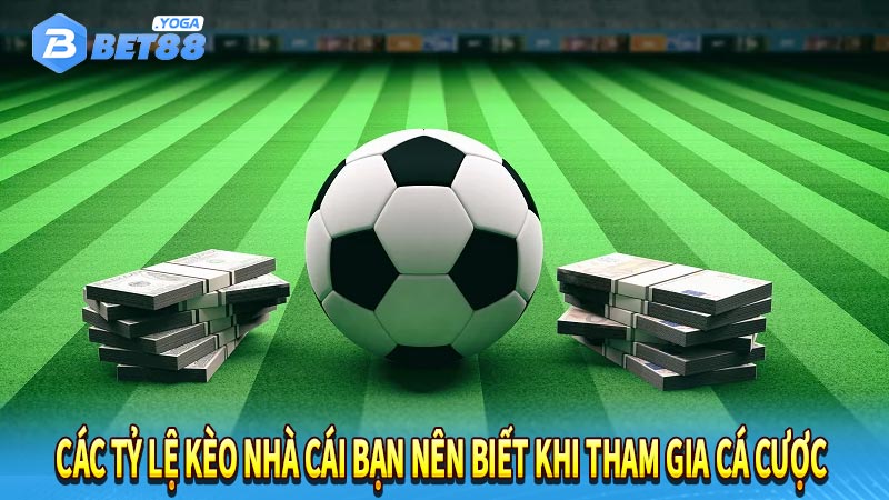 Các tỷ lệ kèo nhà cái bạn nên biết khi tham gia cá cược